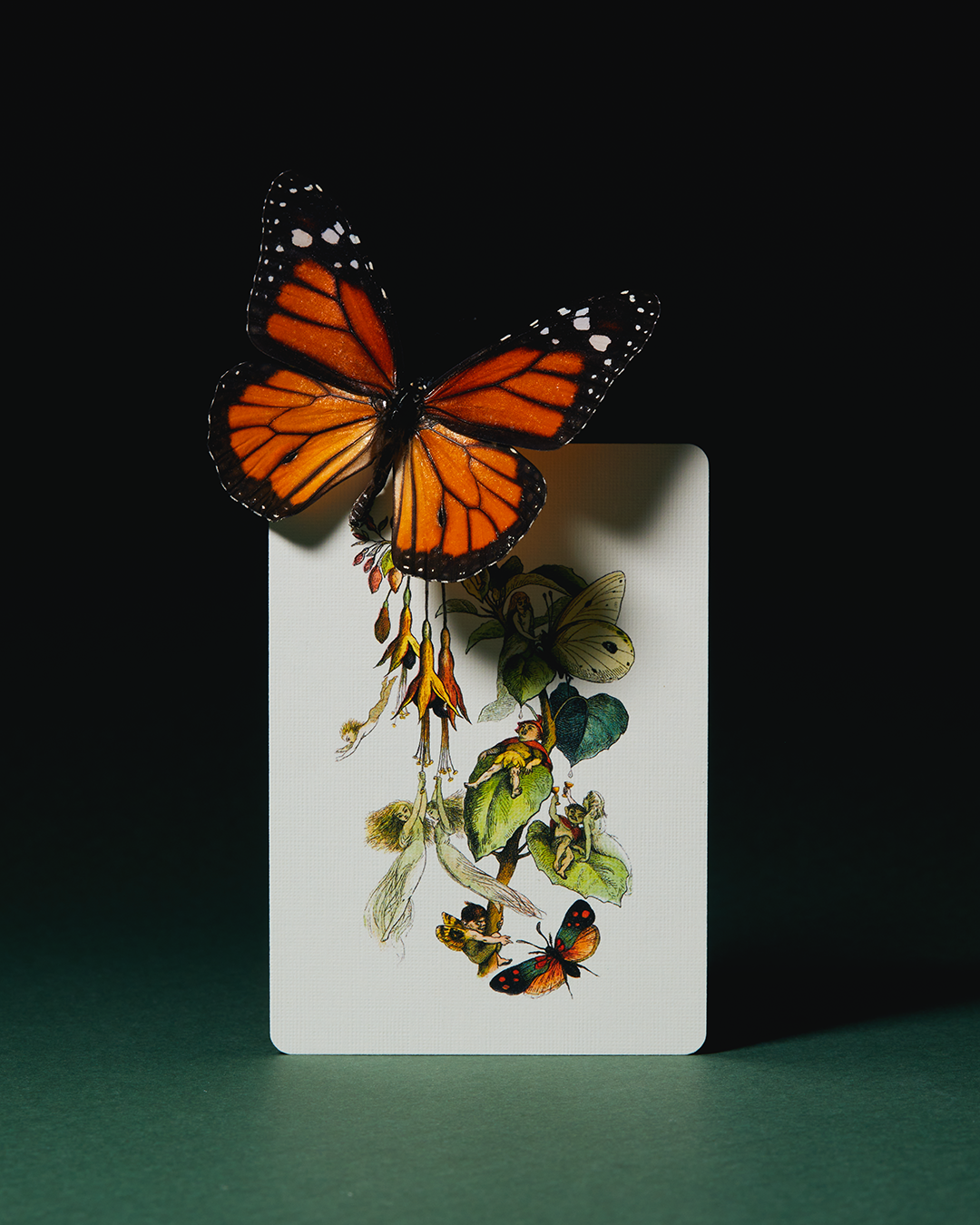 Grimmlore Tartan, Black Edition